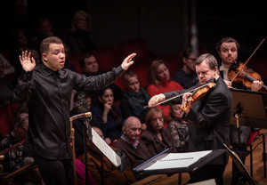 Man som spelar violin. Fotografi.